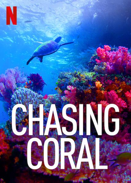 Chasing Coral