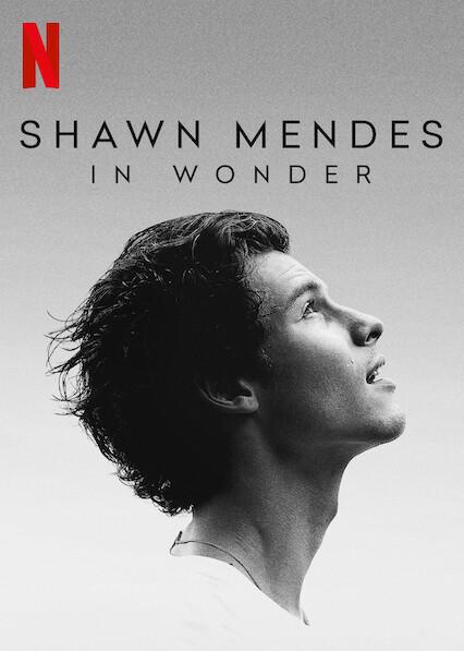 Shawn Mendes: In Wonder