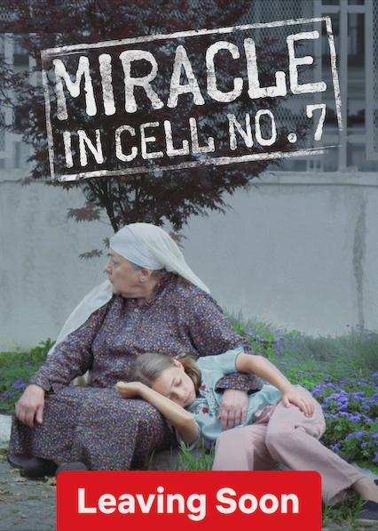 Miracle in Cell No. 7