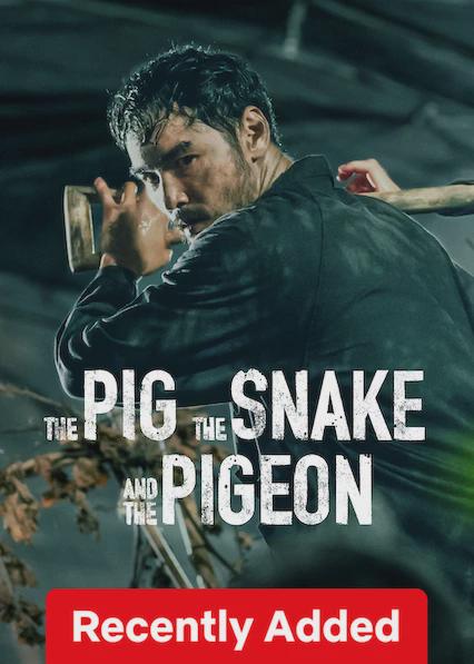 The Pig, the Snake and the Pigeon