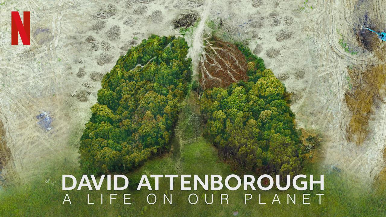 David Attenborough: A Life on Our Planet