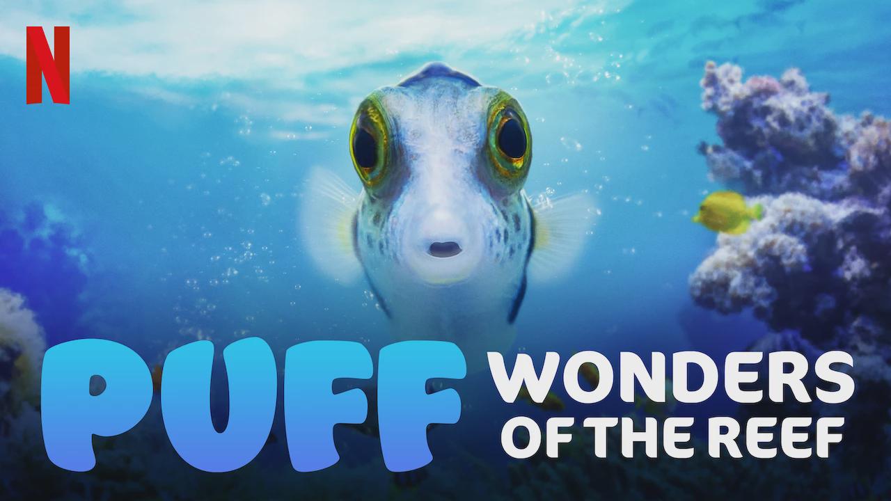 Puff: Maravillas del arrecife